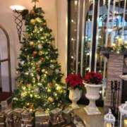 ヒメ日記 2025/11/16 20:13 投稿 宇佐美しゅう ミスターダンディー