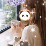 ヒメ日記 2026/02/16 01:53 投稿 宇佐美しゅう ミスターダンディー