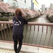ヒメ日記 2026/04/11 18:43 投稿 宇佐美しゅう ミスターダンディー