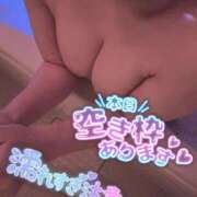 ヒメ日記 2025/07/27 01:52 投稿 まる 奥様なでしこ