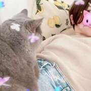 ヒメ日記 2025/10/17 15:14 投稿 【G】及川りさ ウルトラセレブリティ