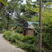 ヒメ日記 2025/08/25 14:40 投稿 ゆりの 阪神人妻花壇