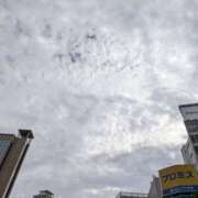 ヒメ日記 2025/11/13 14:40 投稿 ゆりの 阪神人妻花壇