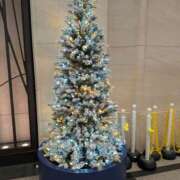 ゆりの 10時半からです(^o^) 阪神人妻花壇