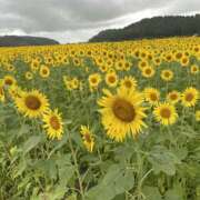 ヒメ日記 2025/08/14 11:57 投稿 じゅん モアグループ宇都宮人妻花壇