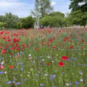 ヒメ日記 2025/09/11 12:10 投稿 じゅん モアグループ宇都宮人妻花壇
