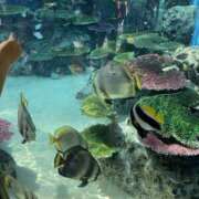 ヒメ日記 2025/09/24 12:50 投稿 じゅん モアグループ宇都宮人妻花壇