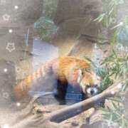 ヒメ日記 2025/11/16 16:33 投稿 じゅん モアグループ宇都宮人妻花壇