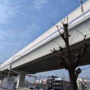 ゆりの ありがとうございます♪ 神戸人妻花壇