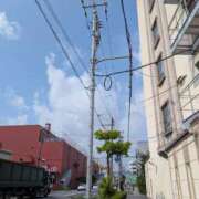 ヒメ日記 2025/09/17 14:27 投稿 ゆりの 神戸人妻援護会