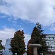 ヒメ日記 2025/11/28 13:08 投稿 ゆりの 東大阪人妻援護会