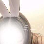 ミユウ★妖艶美 Eカップ美女★ 💓 BUNNY PLAS