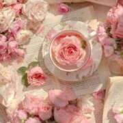 ヒメ日記 2025/07/25 15:15 投稿 みれい 五反田人妻ヒットパレード（シンデレラグループ）