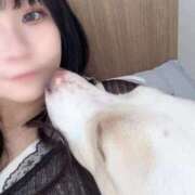 ヒメ日記 2025/08/24 22:24 投稿 なむる E+アイドルスクール　大阪・日本橋店