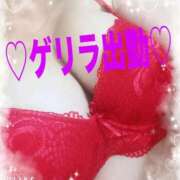 ヒメ日記 2025/09/04 11:53 投稿 みさと 妻天 十三店