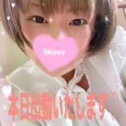 ヒメ日記 2025/11/06 10:47 投稿 みさと 妻天 十三店