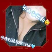 ヒメ日記 2026/01/06 12:21 投稿 ゆあな 池袋サンキュー