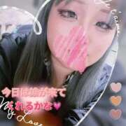 ヒメ日記 2026/02/17 15:31 投稿 ゆあな 池袋サンキュー