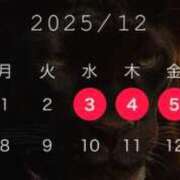 ヒメ日記 2025/11/30 15:55 投稿 あかり club Ego