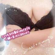 ヒメ日記 2025/09/17 19:03 投稿 とも ぷるるん小町梅田店