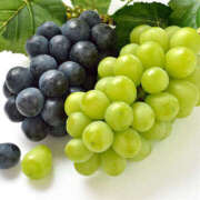 岬 こんにちは MCロイヤル