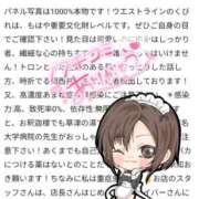 ヒメ日記 2026/09/25 14:34 投稿 あまね 木更津人妻花壇