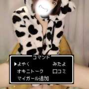 ヒメ日記 2026/10/11 10:58 投稿 あまね 木更津人妻花壇