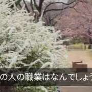 ヒメ日記 2026/10/12 09:50 投稿 あまね 木更津人妻花壇