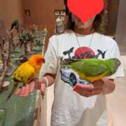 ヒメ日記 2025/07/27 00:38 投稿 すみれ ぷるるん小町 京橋店