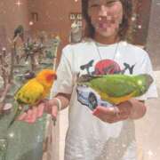 ヒメ日記 2025/07/27 00:41 投稿 すみれ ぷるるん小町 京橋店