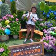 ヒメ日記 2025/08/12 17:38 投稿 すみれ ぷるるん小町 京橋店