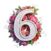 ヒメ日記 2026/08/11 10:00 投稿 【M性感】まゆみ ５Letters〜ファイブレターズ〜