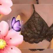 ヒメ日記 2025/07/31 07:20 投稿 桜井なな 渋谷エオス