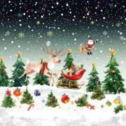 桜井なな Christmas🧑‍🎄🌟 渋谷エオス