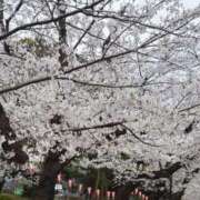 ヒメ日記 2026/03/24 18:20 投稿 桜井なな 渋谷エオス