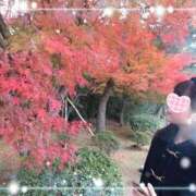 ヒメ日記 2025/10/01 12:09 投稿 撫子（なでこ） エスペランサ新館