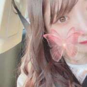 ヒメ日記 2026/03/24 08:09 投稿 撫子（なでこ） エスペランサ新館