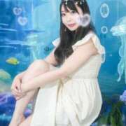 ヒメ日記 2025/07/29 07:15 投稿 かすみ エピセレクション