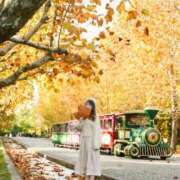 ヒメ日記 2025/11/19 08:15 投稿 かすみ エピセレクション