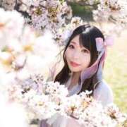 ヒメ日記 2026/04/03 10:15 投稿 かすみ エピセレクション