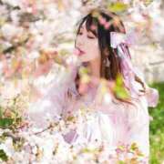 ヒメ日記 2026/04/12 09:15 投稿 かすみ エピセレクション