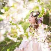 ヒメ日記 2026/04/18 08:15 投稿 かすみ エピセレクション