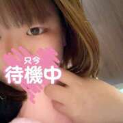 ひな 🩷🩷 ぽっちゃり巨乳素人専門横浜関内伊勢佐木町ちゃんこ