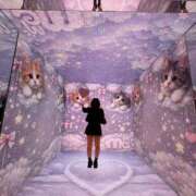 ねね いるよ！ 秋葉原コスプレ学園(AKG)