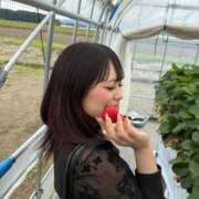 ヒメ日記 2026/06/12 17:41 投稿 ねね 秋葉原コスプレ学園(AKG)