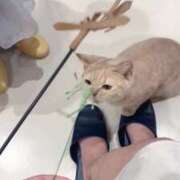 ヒメ日記 2025/08/01 02:06 投稿 夏川 るる Canx2神戸店