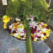 ヒメ日記 2025/12/11 11:19 投稿 さなえ 倶楽部愛