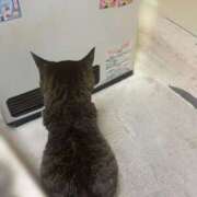 ヒメ日記 2025/12/12 08:41 投稿 さなえ 倶楽部愛