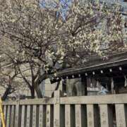 ヒメ日記 2026/02/21 08:33 投稿 さなえ 倶楽部愛