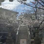 ヒメ日記 2026/03/24 12:02 投稿 さなえ 倶楽部愛